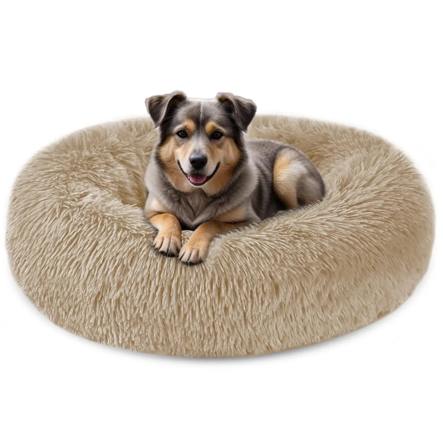 A Dog id Sitting on Beige Dog Bed